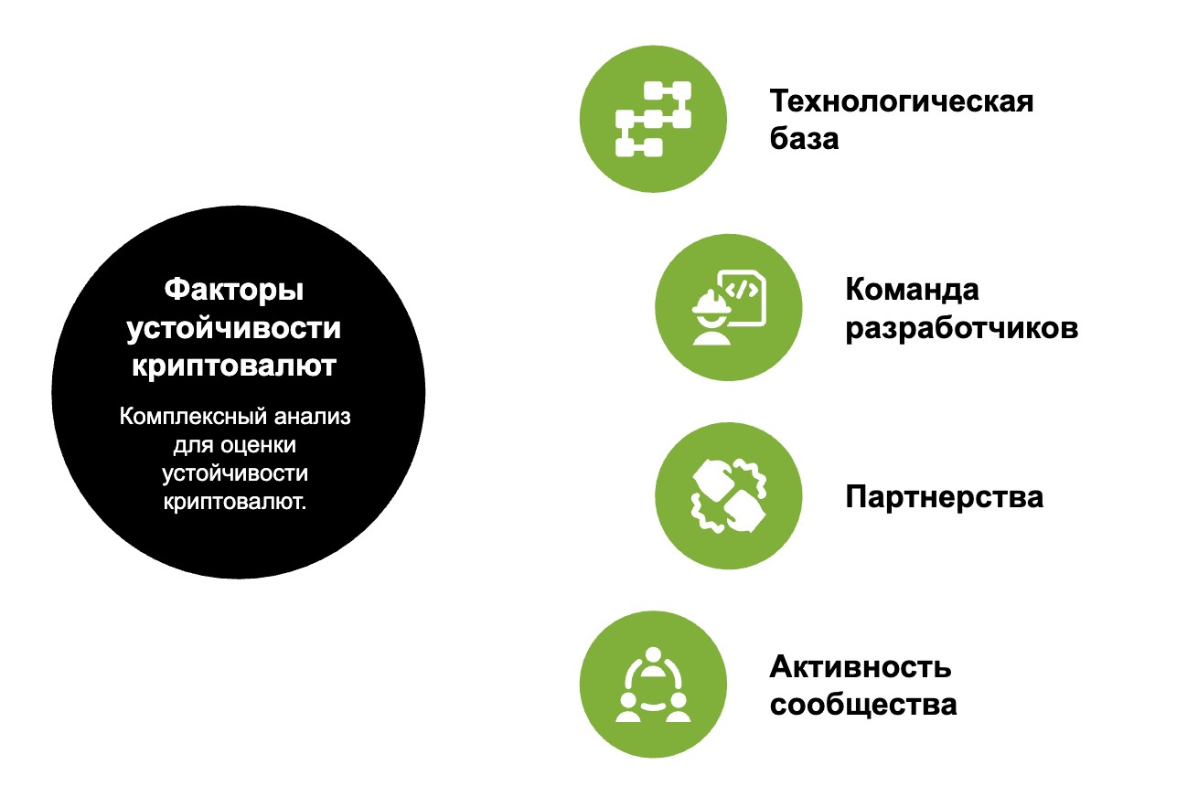 Факторы устойчивости криптовалют