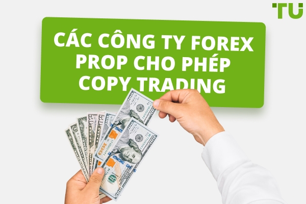 Các công ty Forex Prop cho phép Copy Trading