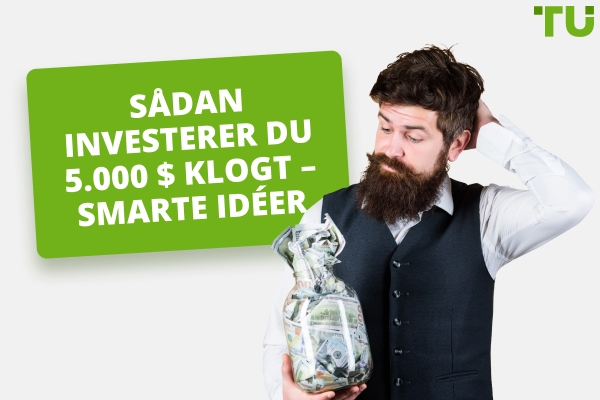 Sådan investerer du 5.000 $ klogt - smarte idéer