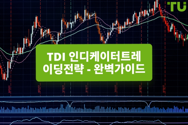 트레이더스 다이내믹 인덱스 사용 방법