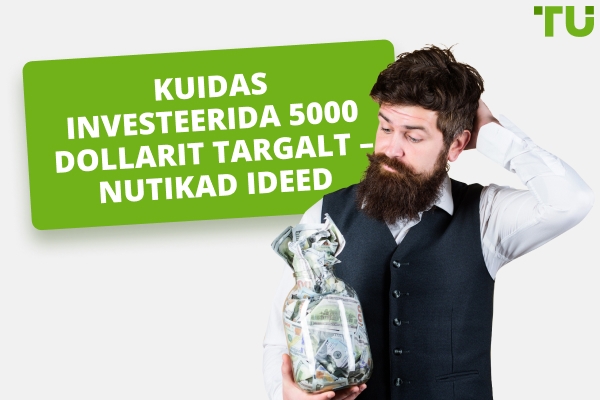 Kuidas investeerida 5 000 dollarit targalt – nutikad ideed