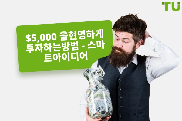 5,000 달러를 현명하게 투자하는 방법 - 스마트 아이디어