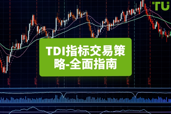 如何使用交易者动态指数