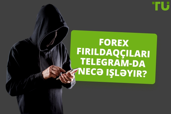 Forex Telegram fırıldaqları necə işləyir? Ən yaxşı nümunələr