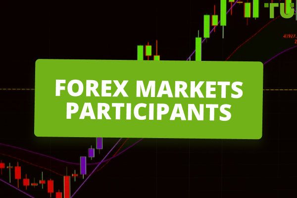 Main Types of Foreign Exchange Market Participants