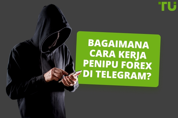 Bagaimana Cara Kerja Penipuan Forex Telegram? Contoh Teratas