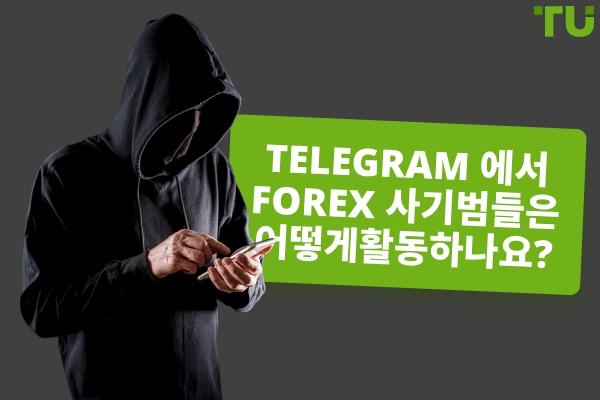 Forex Telegram 사기는 어떻게 작동하나요? 주요 사례