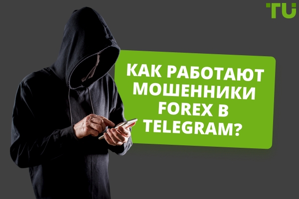 Как работают мошенничества с Forex Telegram? Основные примеры