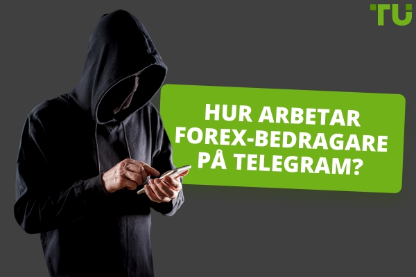 Hur fungerar Forex Telegram-bedrägerier? Topp exempel