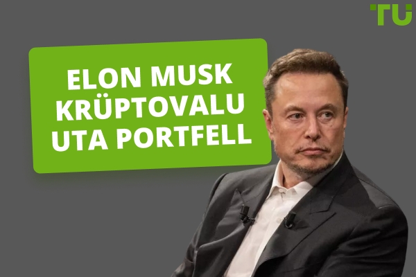 Elon Muski krüptovaluuta portfelli ülevaade