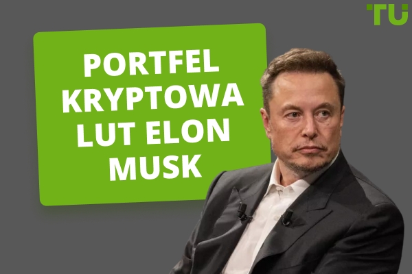 Przegląd portfela kryptowalut Elona Muska
