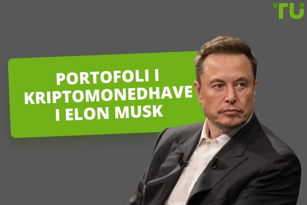 Përmbledhje e Portofolit të Kriptomonedhave të Elon Musk