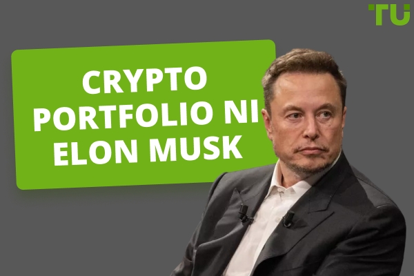 Pangkalahatang-ideya ng Crypto Portfolio ni Elon Musk