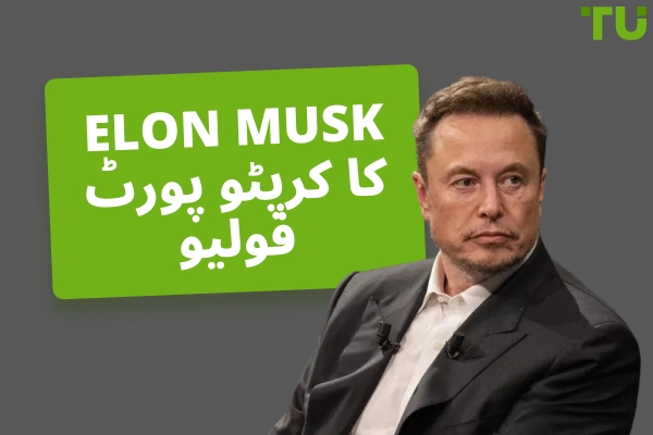 Elon Musk کا کرپٹو پورٹ فولیو جائزہ