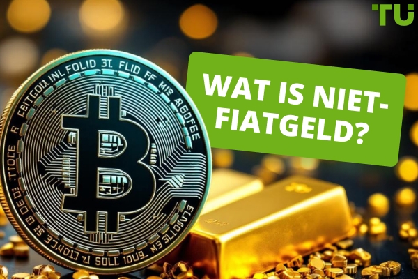 Wat is niet-fiatvaluta?