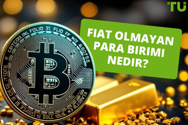 Gayri-Fiat Para Birimi Nedir?