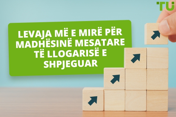 Cila është leva më e mirë për një llogari prej $1000-2000?