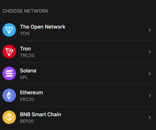 Выбор сети в Crypto Bot