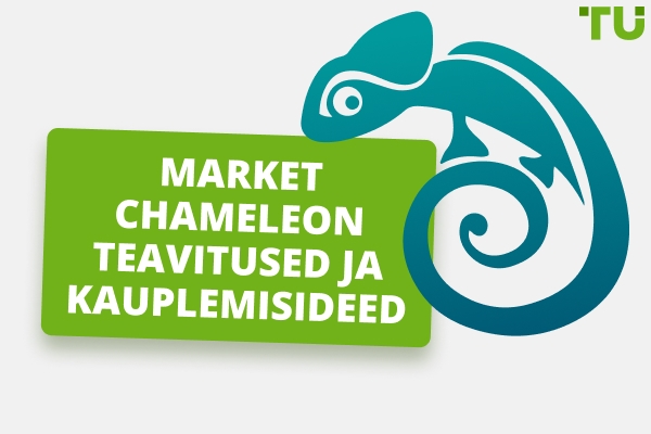 Market Chameleon ülevaade – plussid ja miinused