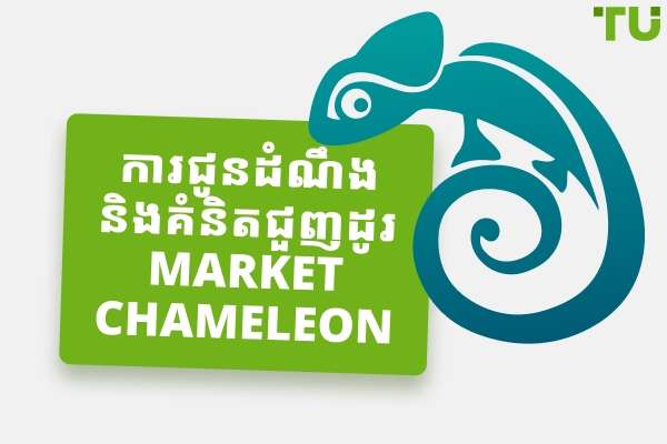 ការពិនិត្យឡើងវិញអំពី Market Chameleon - គុណសម្បត្តិ និងគុណវិបត្តិ