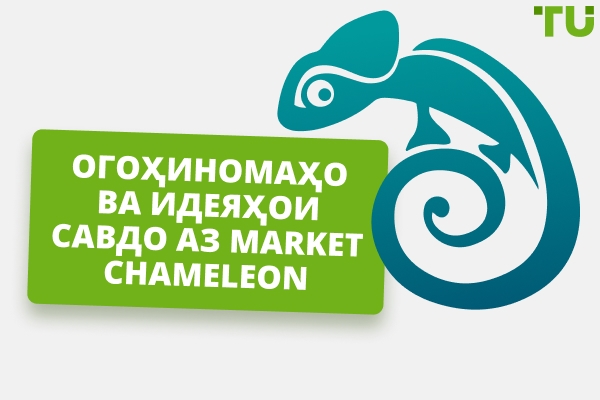 Market Chameleon Шарҳ - Афзалиятҳо ва Камбудиҳо