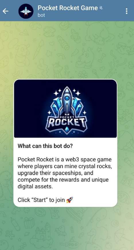 Pocket Rocket Game