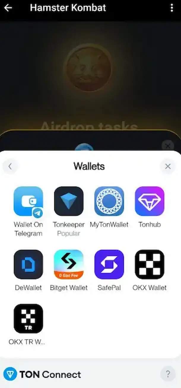 Wallet options in Hamster Kombat