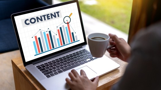 Social media management and content creation