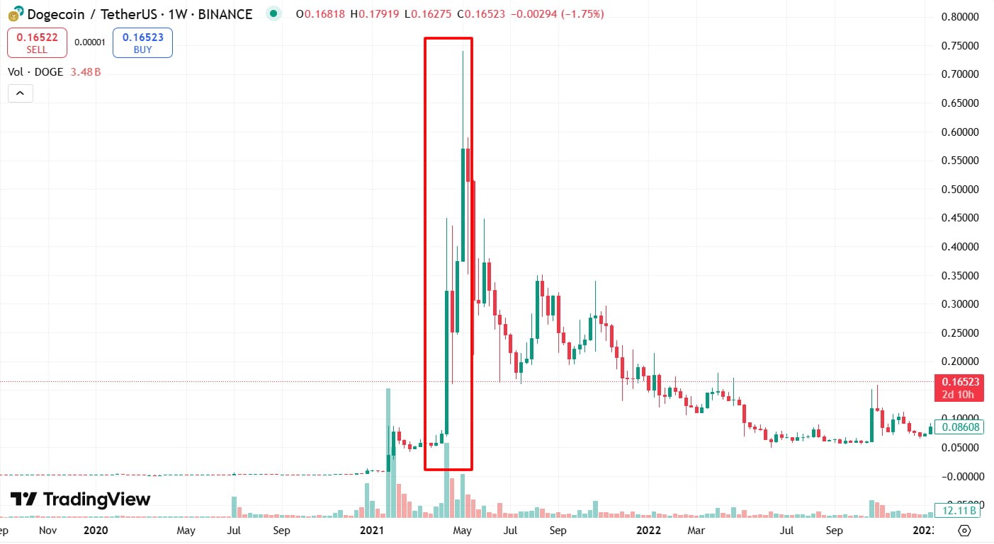 DOGE's 2021 Rise Amid Whale Influence