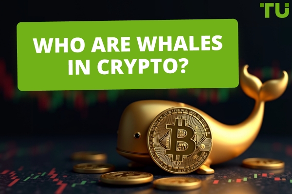 Who Are Whales in Crypto And How to Recognize Them?
