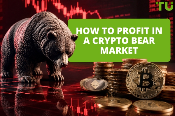 How to Make Money in a Crypto Bear Market: Strategies and Risks