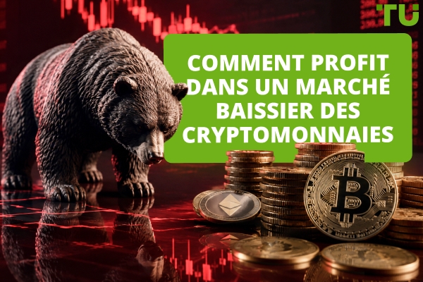 Comment gagner de l'argent sur un marché baissier crypto : stratégies et risques