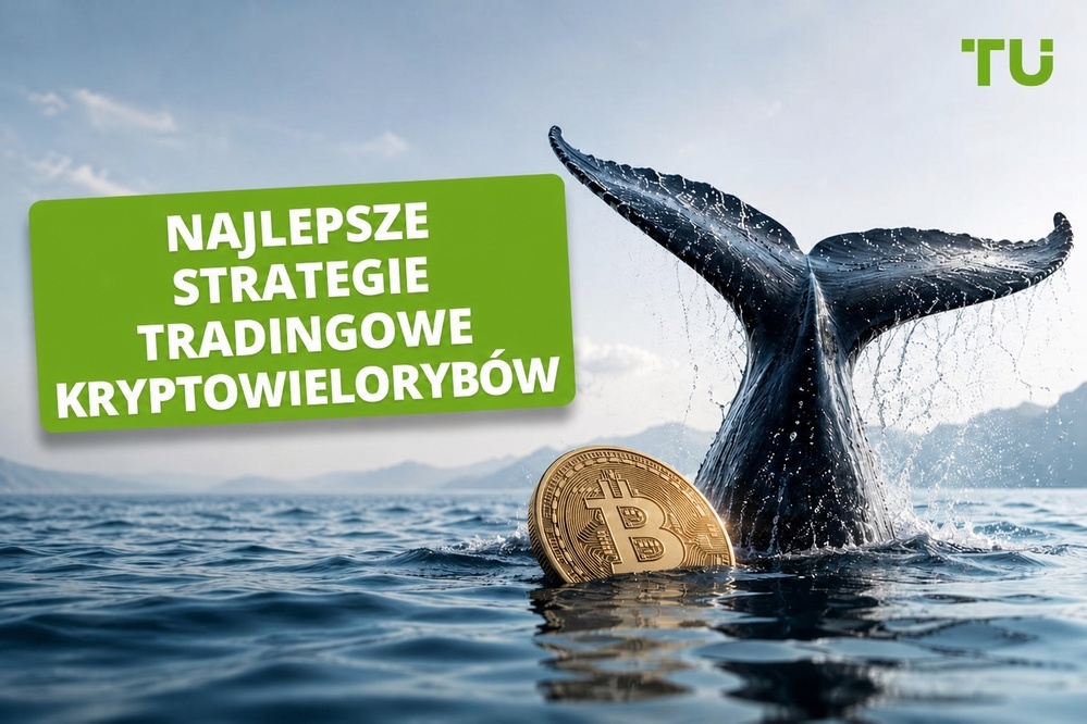 Najlepsze strategie handlowe kryptowalutowych wielorybów