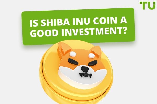 Should I Buy Shiba Inu Coin (SHIB) 2024? Top Pros and Cons 