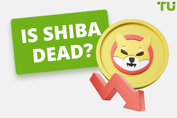 Is Shiba inu coin (SHIB) Dead? Will Shiba Inu Go Back Up? 