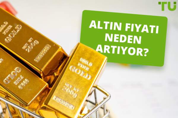 Altın Fiyatı Neden Artıyor? TU Cevap