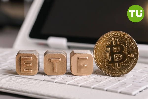 Capital outflows from Bitcoin ETFs on eve of US election total $541.1 million Capital outflows from Bitcoin ETFs on eve of US election total $541.1 million