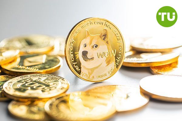 Dogecoin surges as Musk and Trump fuel investor buzz Dogecoin surges as Musk and Trump fuel investor buzz