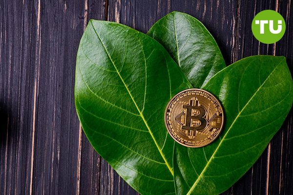 Greenpeace vs. Bitcoin: why environmentalists dislike BTC Greenpeace vs. Bitcoin: why environmentalists dislike BTC