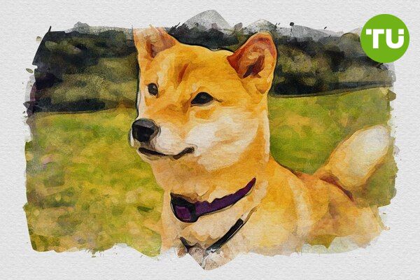 Shiba Inu richt zich op een stijging van 585% nu bullish indicatoren op één lijn liggen Shiba Inu richt zich op een stijging van 585% nu bullish indicatoren op één lijn liggen