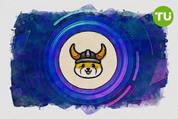 Floki Launches University to Simplify Blockchain and Crypto Learning