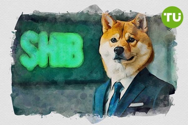 Shiba Inu burn rate drops by 61% Shiba Inu burn rate drops by 61%