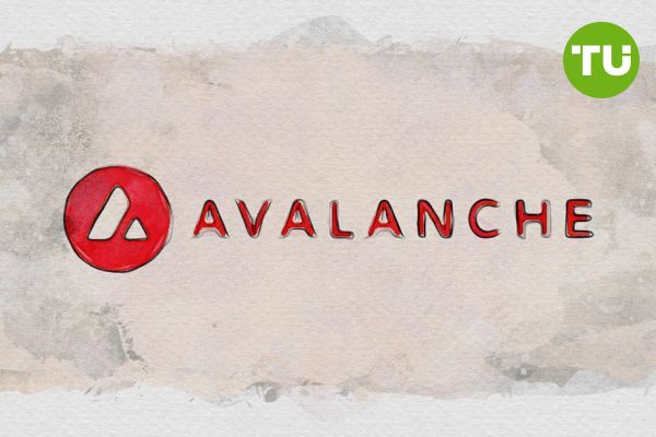VanEck seeks approval for Avalanche-ETF VanEck seeks approval for Avalanche-ETF