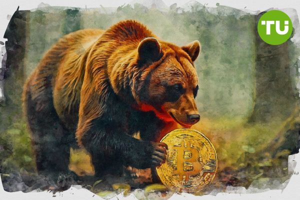 CryptoQuant CEO predicts bear market for next six months CryptoQuant CEO predicts bear market for next six months