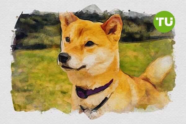 Dogecoin-prisen handler nær make-or-break-sonen ettersom nedadgående press intensiveres