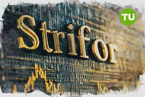 РАССЛЕДОВАНИЕ: что стоит за брокером Strifor — реальные факты, а не рекламные лозунги