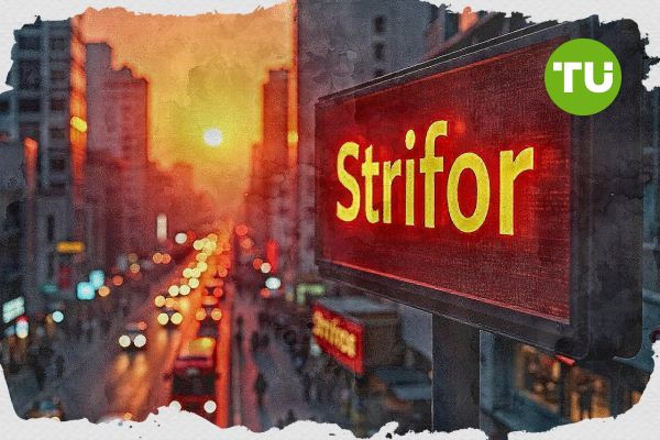 Обзор брокера Strifor.org: как начать торговлю и что думают трейдеры