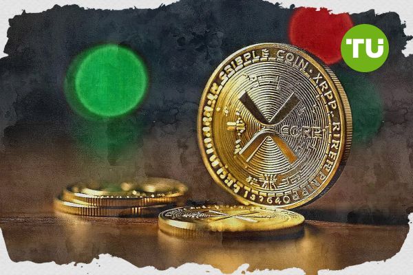 Ripple CTO David Schwartz returns to XRPL with personal NYC server project