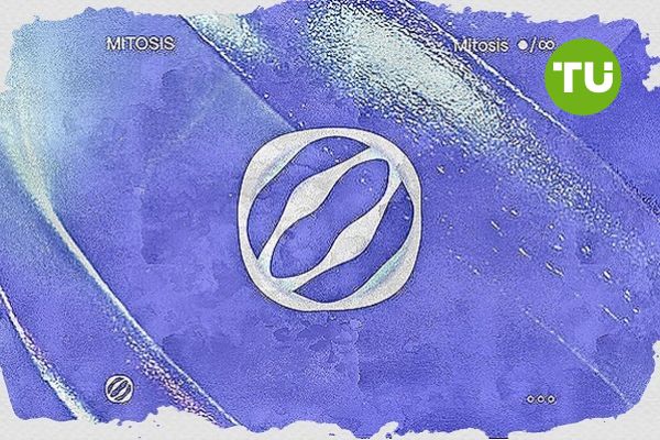 MITO token surges after Binance and MEXC announce listing