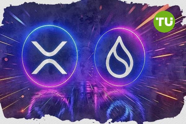 XRP 和 SUI：竞争对手还是区块链兄弟？